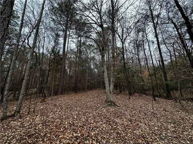 0 Lee Road 367 N/a, Valley, Alabama 36854