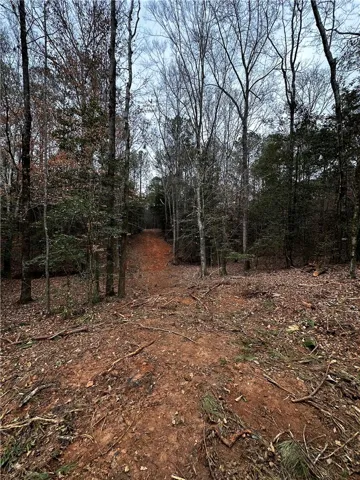 0 Lee Road 367 N/a, Valley, Alabama 36854