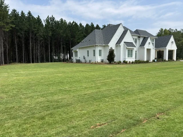 A striking white residence with dark roofing stands against a tall pine forest, offering abundant green space.