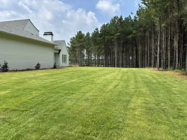 A spacious green lawn extends towards a dense line of tall, verdant pine trees.