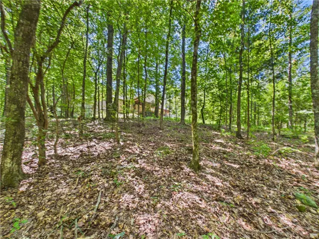 81 Lee Road 2189 N/a, Notasulga, Alabama 36866