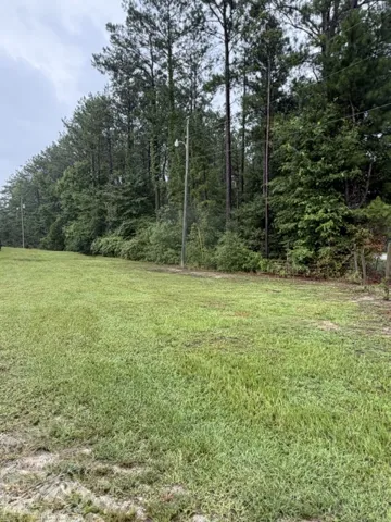 5462 Highway 199 N/a, Notasulga, Alabama 36866