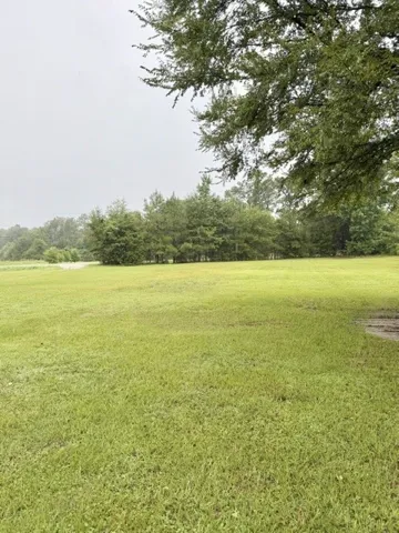 5462 Highway 199 N/a, Notasulga, Alabama 36866