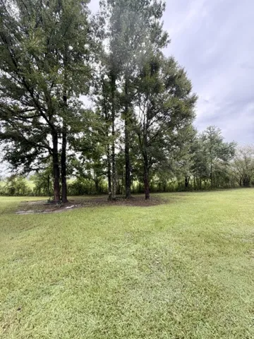 5462 Highway 199 N/a, Notasulga, Alabama 36866