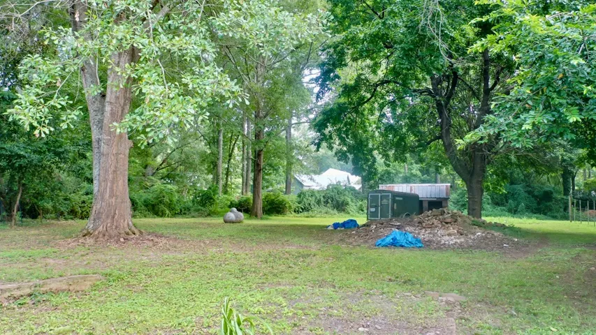 Another view of the backyard.