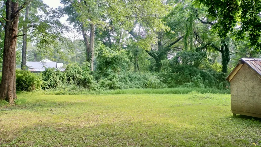 The backyard is deep with plenty of room for play or home expansion.