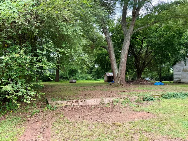 Another view of the backyard.