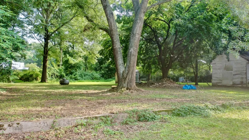 The twin oak in backyard offers ample shade and offers a beautiful view.