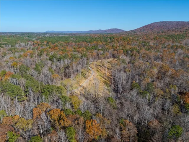 4245 Union T Road, Talladega, Alabama 35160