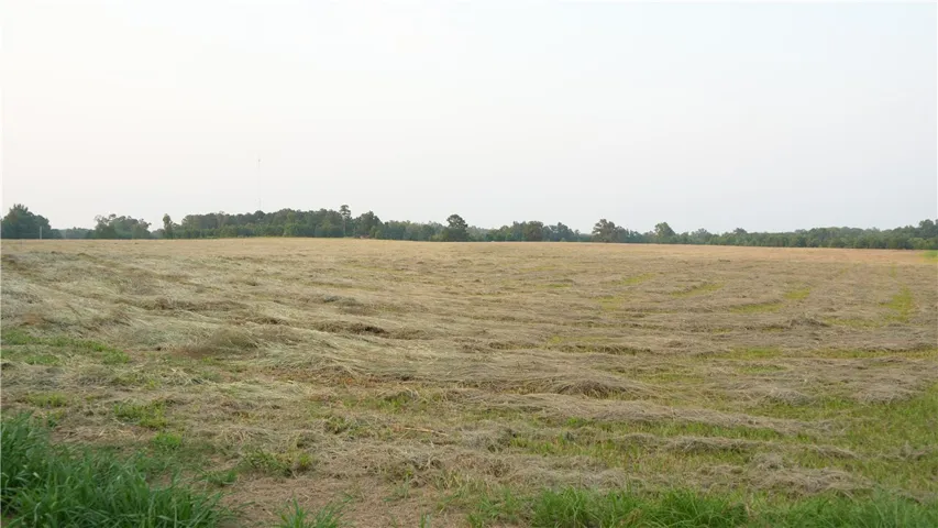 388 County Road 388 N/a, Valley, Alabama 36854