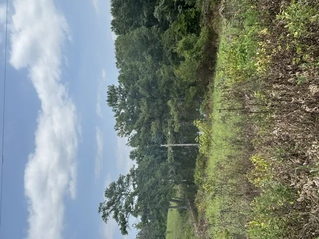 4 Society Hill Road, Auburn, Alabama 36830
