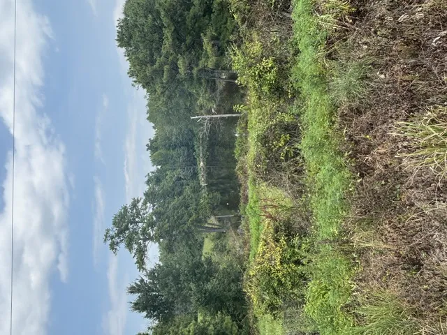 4 Society Hill Road, Auburn, Alabama 36830
