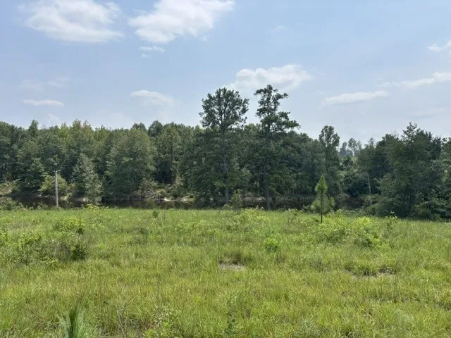 4 Society Hill Road, Auburn, Alabama 36830