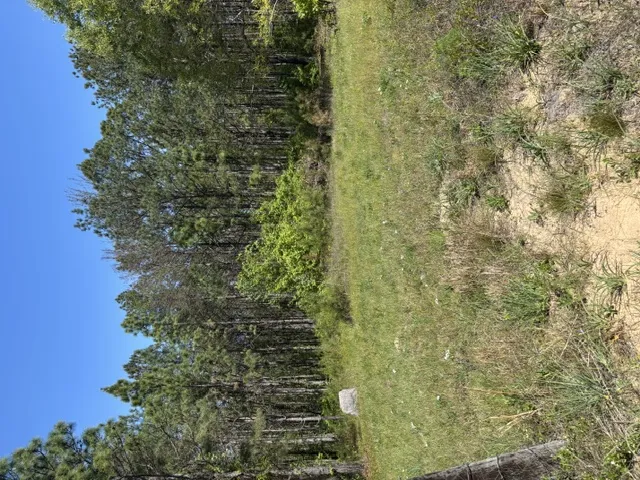 2 Society Hill Road, Auburn, Alabama 36830