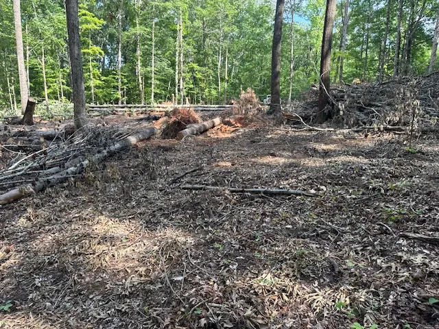Partially Cleared