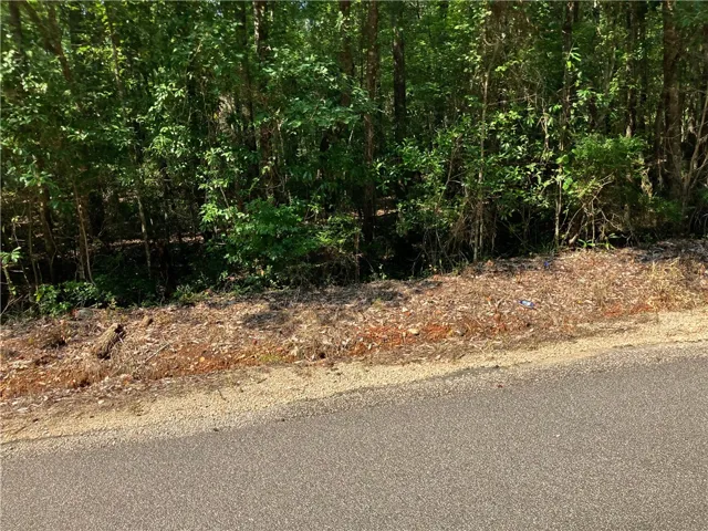 Mature trees border this expansive lot, offering natural privacy and a verdant backdrop for future development.