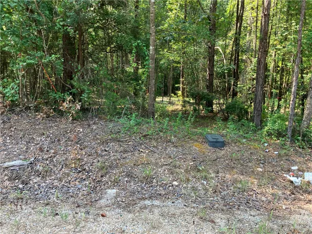 Mature trees and lush undergrowth define this private, undeveloped lot.