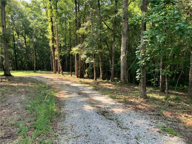 A tranquil, tree-lined gravel driveway leads through a verdant, wooded landscape.