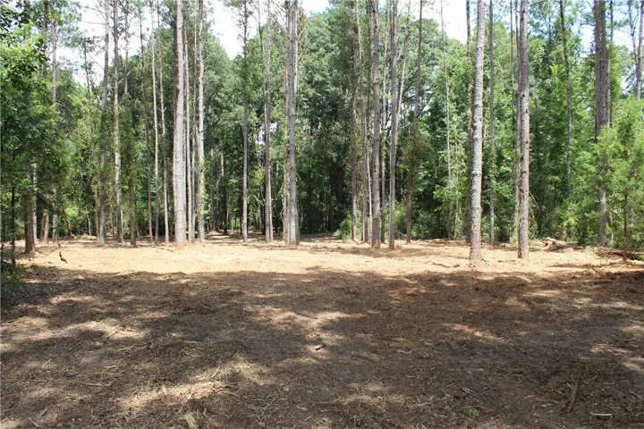 3 Al Highway 14 N/a, Notasulga, Alabama 36866