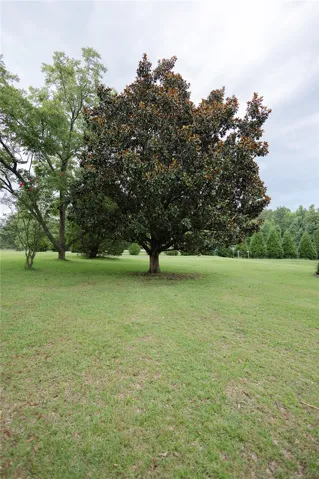 2423 Lee Road 166 N/a, Opelika, Alabama 36804