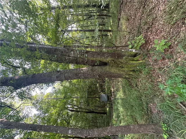 0 County Road 91 N/a, Tuskegee, Alabama 36083