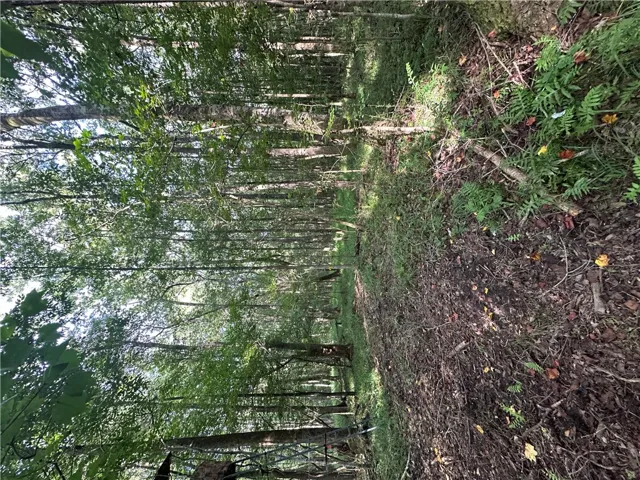 0 County Road 91 N/a, Tuskegee, Alabama 36083
