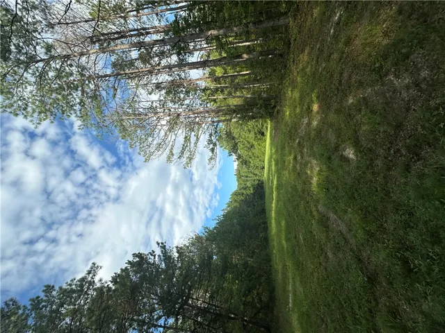 0 County Road 91 N/a, Tuskegee, Alabama 36083