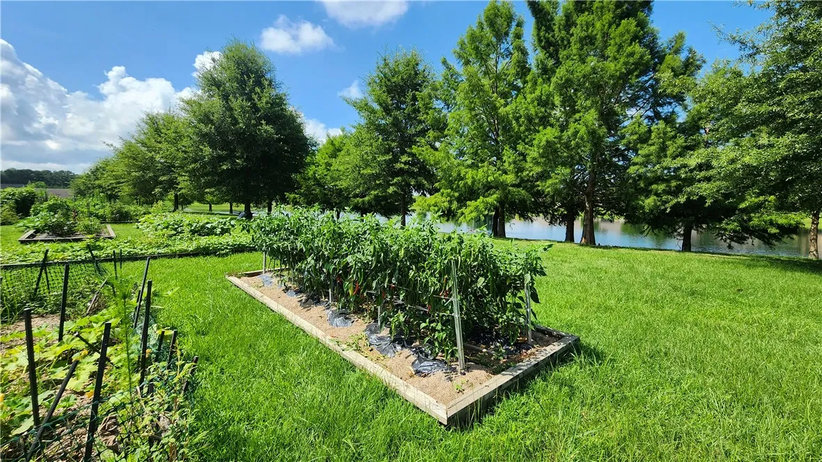 Community garden!