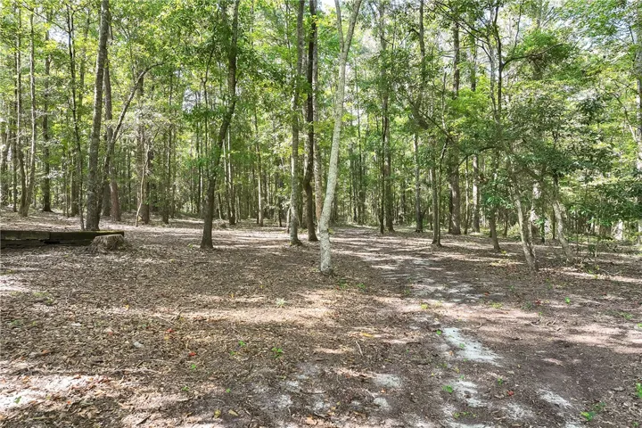 2717 Lee Road 166 N/a, Opelika, Alabama 36804