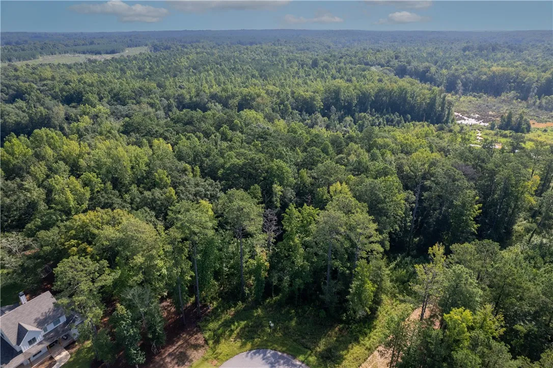 Lot 4 Oak Bowery Pines Subdivision