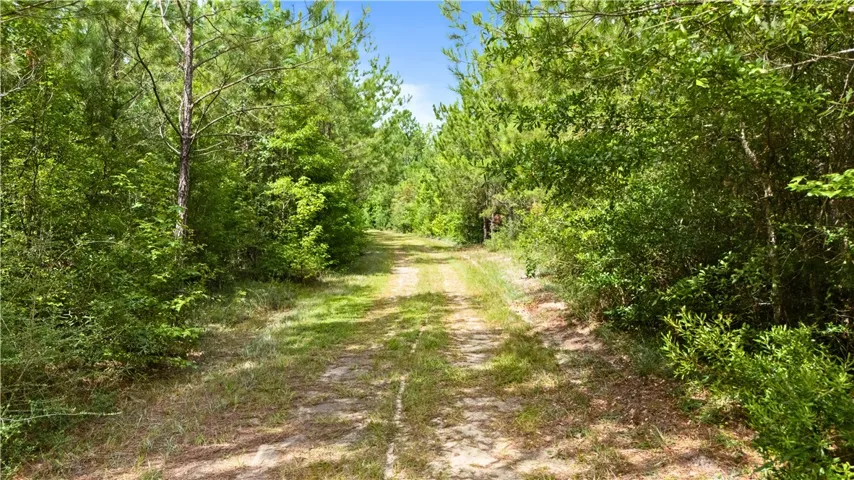 N/a Motley Lane, Tuskegee, Alabama 36083