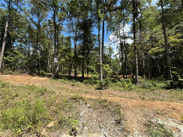 Looking at the lot from W Ridge Drive