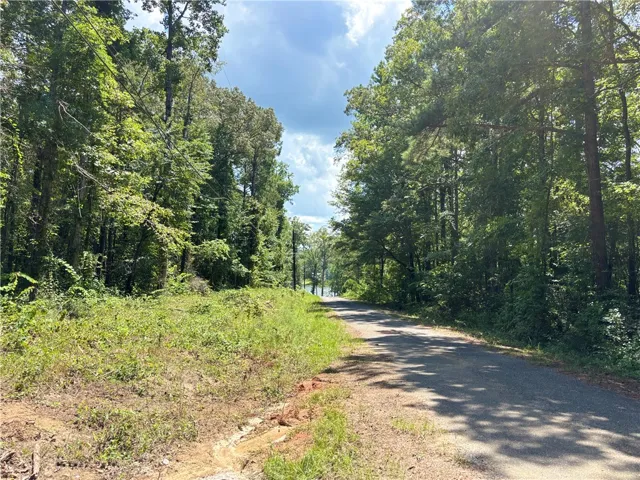 Looking at the street from the driveway; lake view