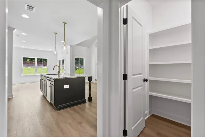 There are two large pantries in the house.  The main pantry has been built out with wooden shelves.