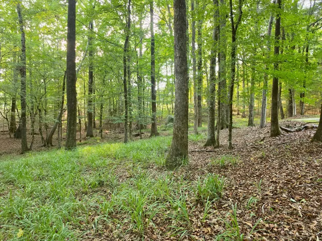 Surrounded by 2 amazing acres!
