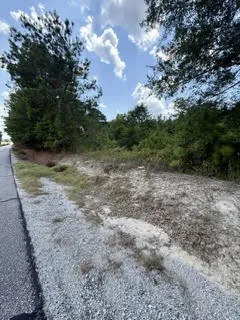0 Lee Road 29 N/a, Opelika, Alabama 36804