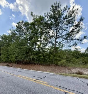 0 Lee Road 29 N/a, Opelika, Alabama 36804