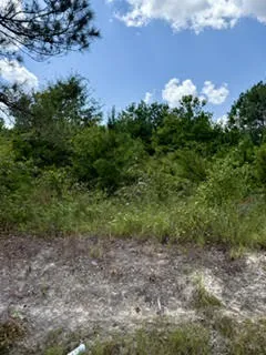 0 Lee Road 29 N/a, Opelika, Alabama 36804