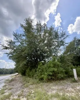 0 Lee Road 29 N/a, Opelika, Alabama 36804