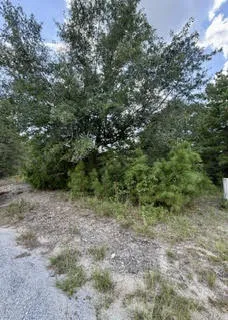 0 Lee Road 29 N/a, Opelika, Alabama 36804