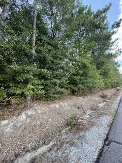 0 Lee Road 29 N/a, Opelika, Alabama 36804