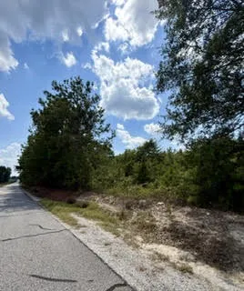 0 Lee Road 29 N/a, Opelika, Alabama 36804