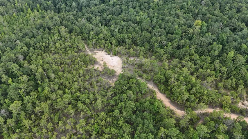 0 County Road 91 N/a, Tuskegee, Alabama 36083
