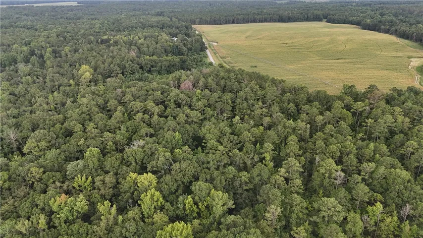 0 County Road 91 N/a, Tuskegee, Alabama 36083