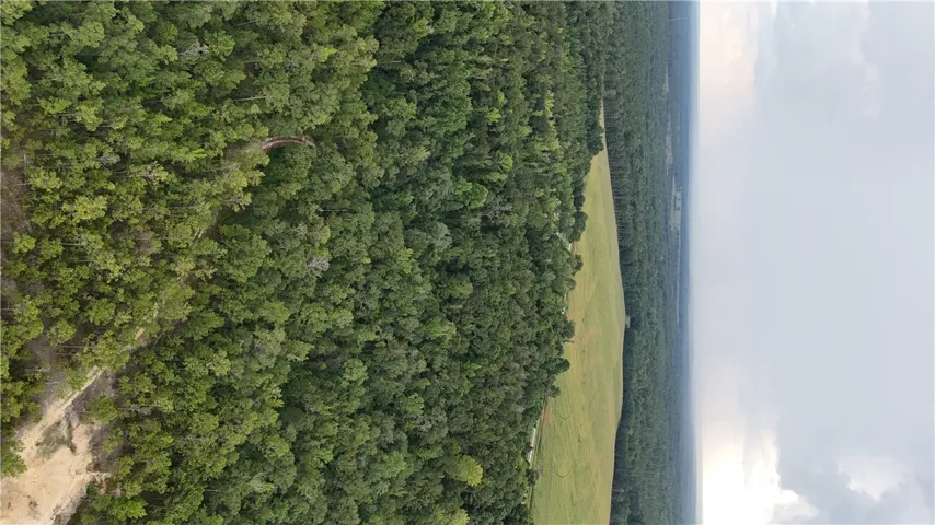 0 County Road 91 N/a, Tuskegee, Alabama 36083
