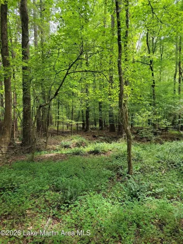 3696 Lee Road 254 N/a, Salem, Alabama 36874