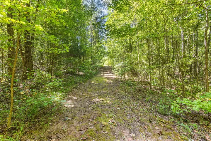 Trail from fenced pool area to back of property