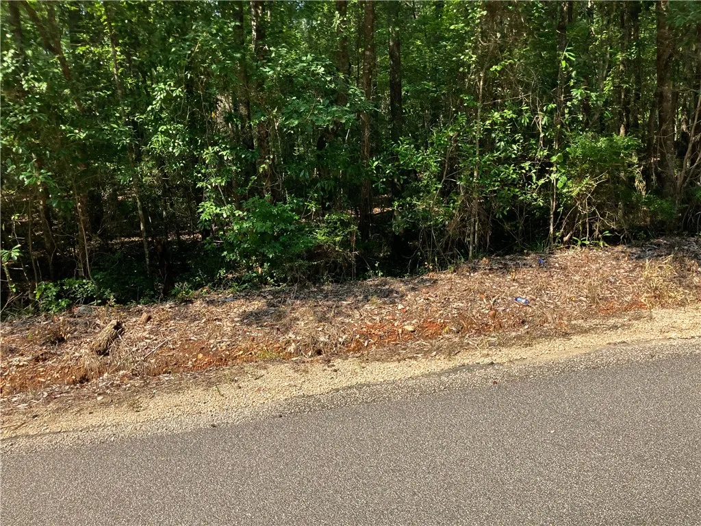 Mature trees border this expansive lot, offering natural privacy and a verdant backdrop for future development.