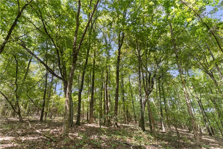 4774 Lee Road 217 N/a, Notasulga, Alabama 36866