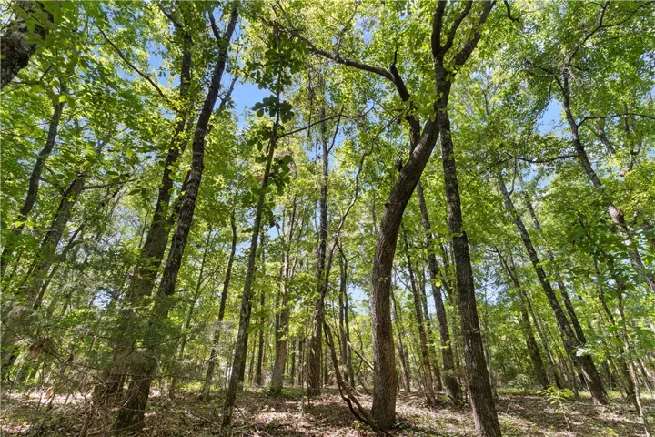 4774 Lee Road 217 N/a, Notasulga, Alabama 36866